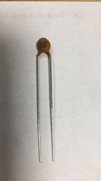 22pF 63V Mercimek Kondansatör BA:2.5mm