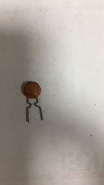 82pF 63V Mercimek Kondansatör BA:5mm